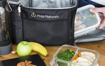 Which Reusable Meal Prep Containers are Best, Glass, or BPA Free Plastic?